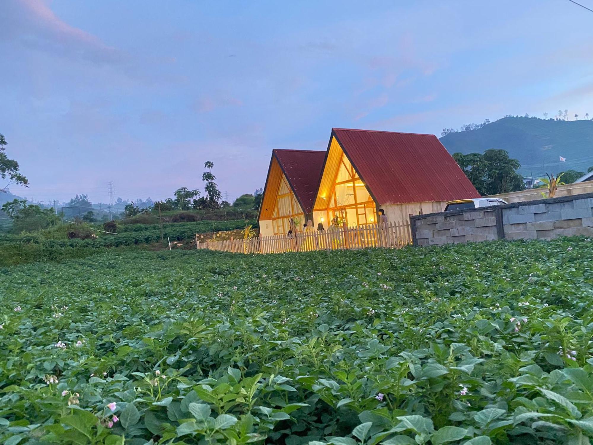 Martos Villa Dieng Diyeng Exteriér fotografie